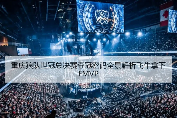 重庆狼队世冠总决赛夺冠密码全景解析飞牛拿下FMVP